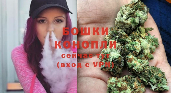 спайс Верея