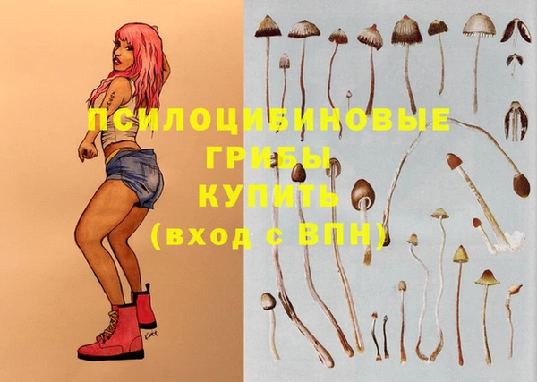 спайс Верея