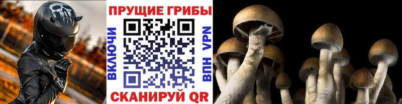 Галлюциногенные грибы мухоморы Прокопьевск